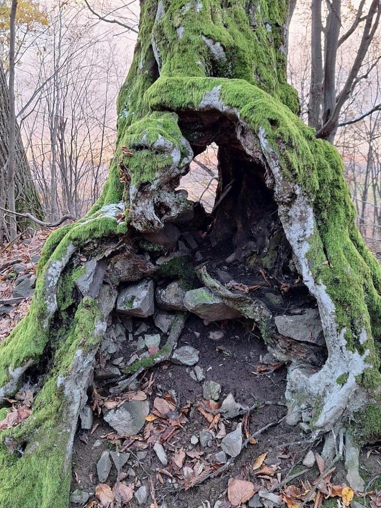 Гостьовий будинок Burg Nad Banskou Stiavnicou Штявницьке Банє Екстер'єр фото